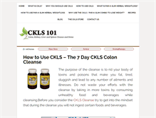 Tablet Screenshot of ckls101.com